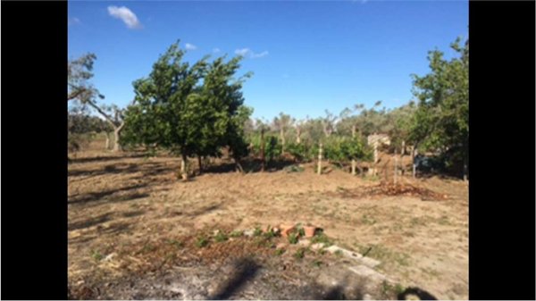 appartamento in vendita a Cutrofiano
