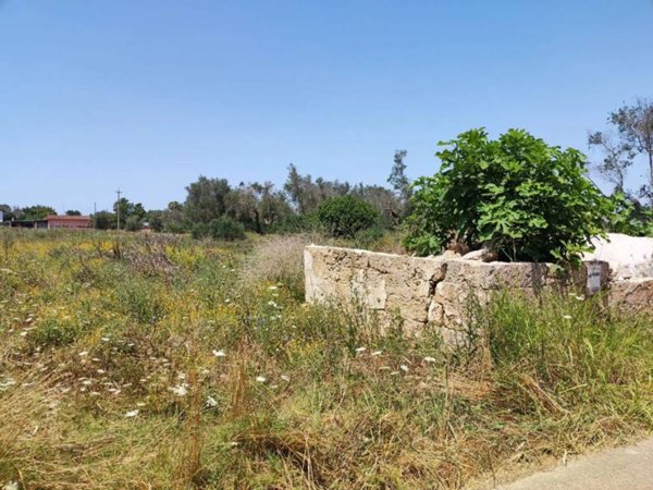terreno agricolo in vendita a Cutrofiano