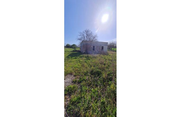 casa indipendente in vendita a Cutrofiano