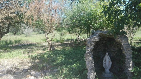 terreno agricolo in vendita a Cutrofiano