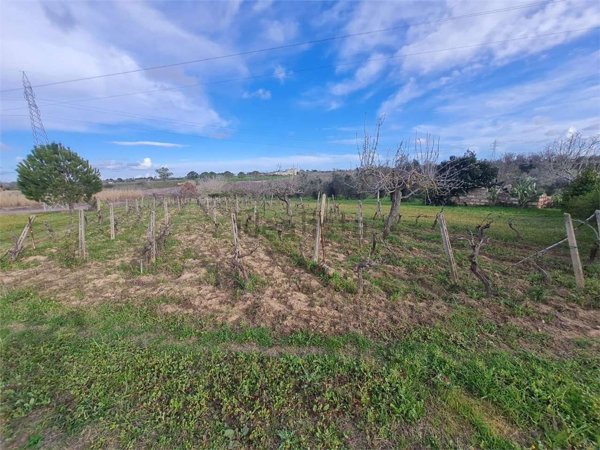 terreno agricolo in vendita a Cutrofiano