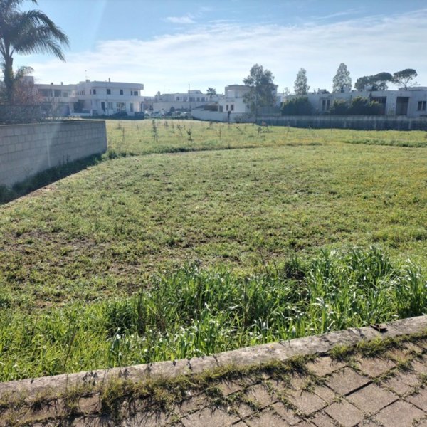 terreno agricolo in vendita a Cutrofiano