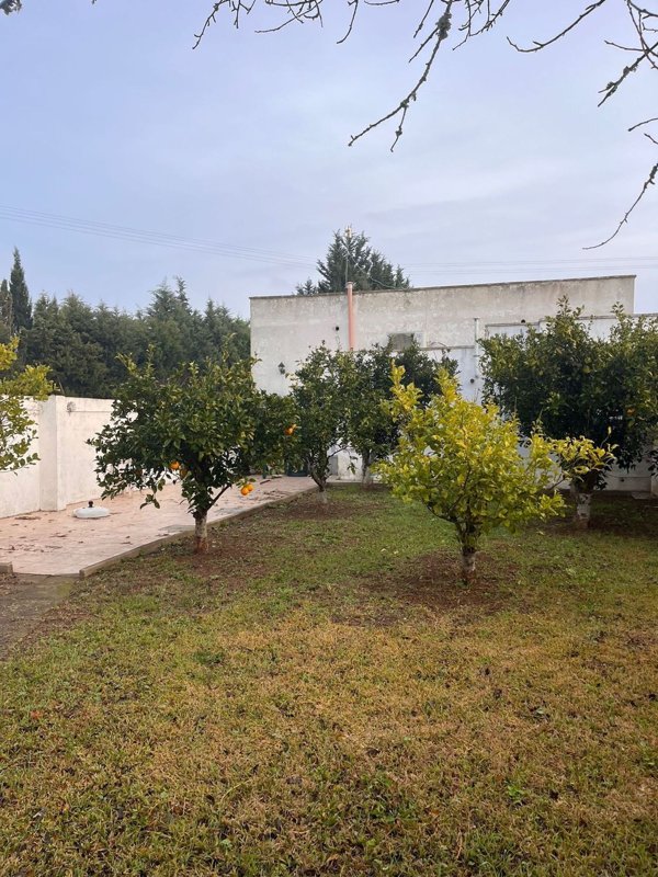 casa indipendente in vendita a Cutrofiano