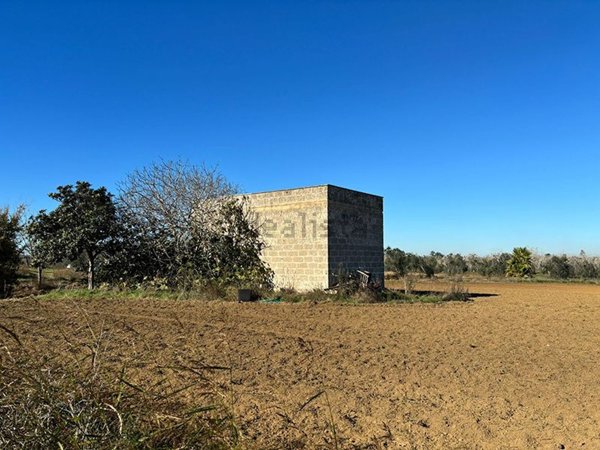 terreno agricolo in vendita a Cutrofiano