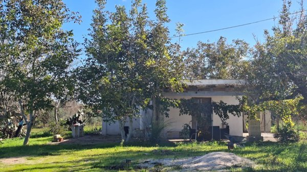 casa indipendente in vendita a Cutrofiano