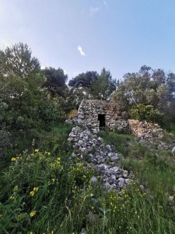 terreno agricolo in vendita a Diso in zona Marina di Marittima