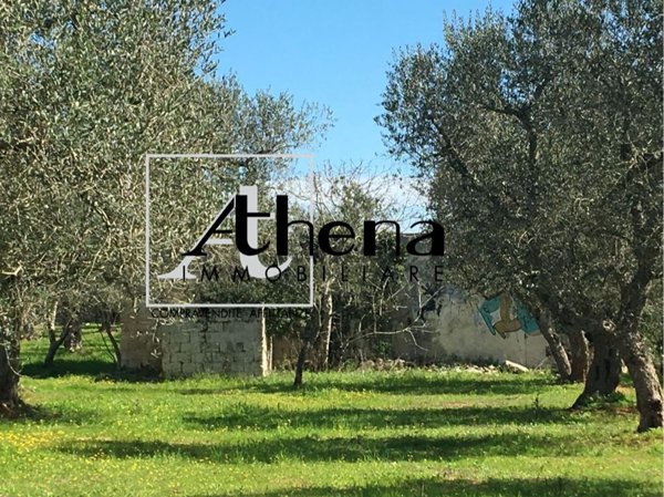appartamento in vendita a Diso