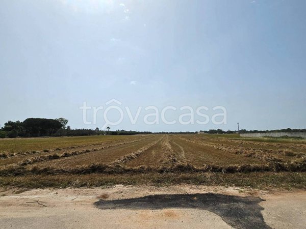 terreno agricolo in vendita a Diso