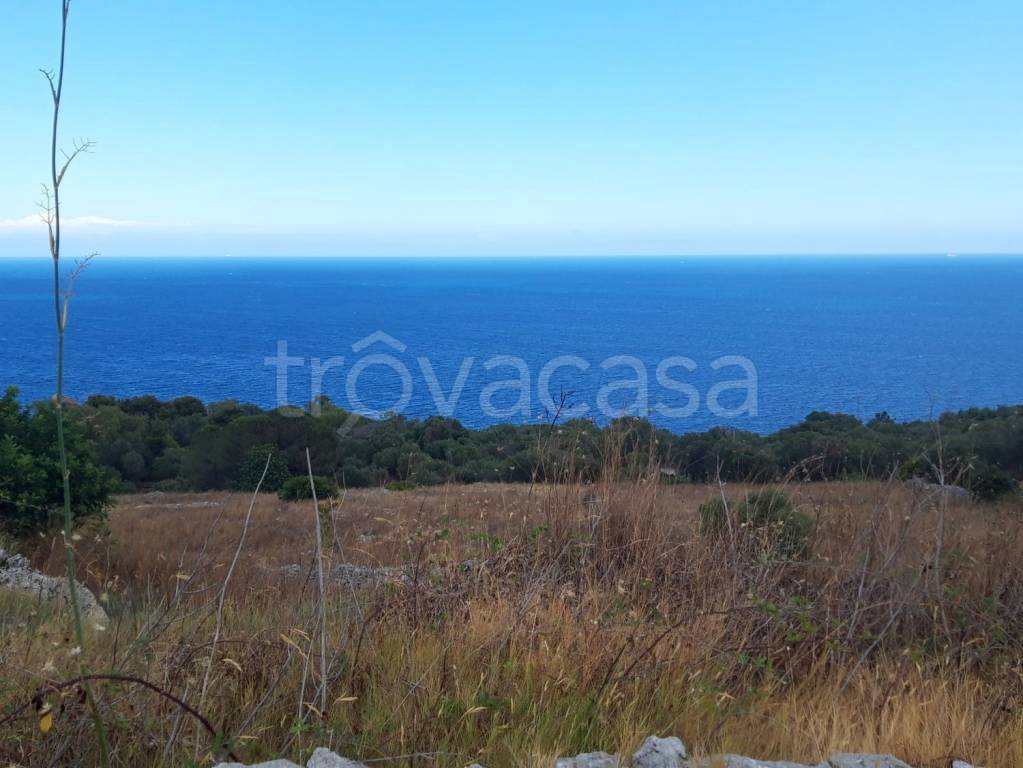 terreno agricolo in vendita a Diso in zona Marittima