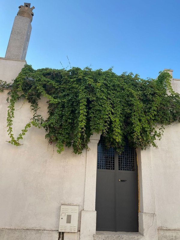 casa indipendente in vendita a Diso in zona Marittima