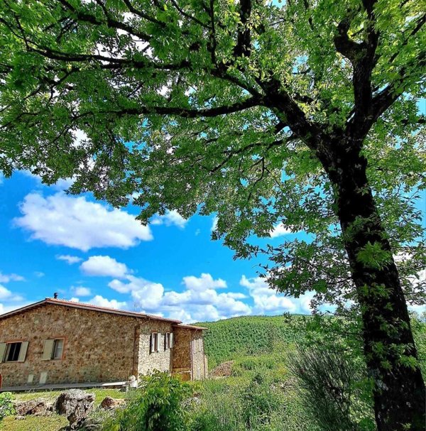 casa indipendente in vendita a Diso in zona Marittima