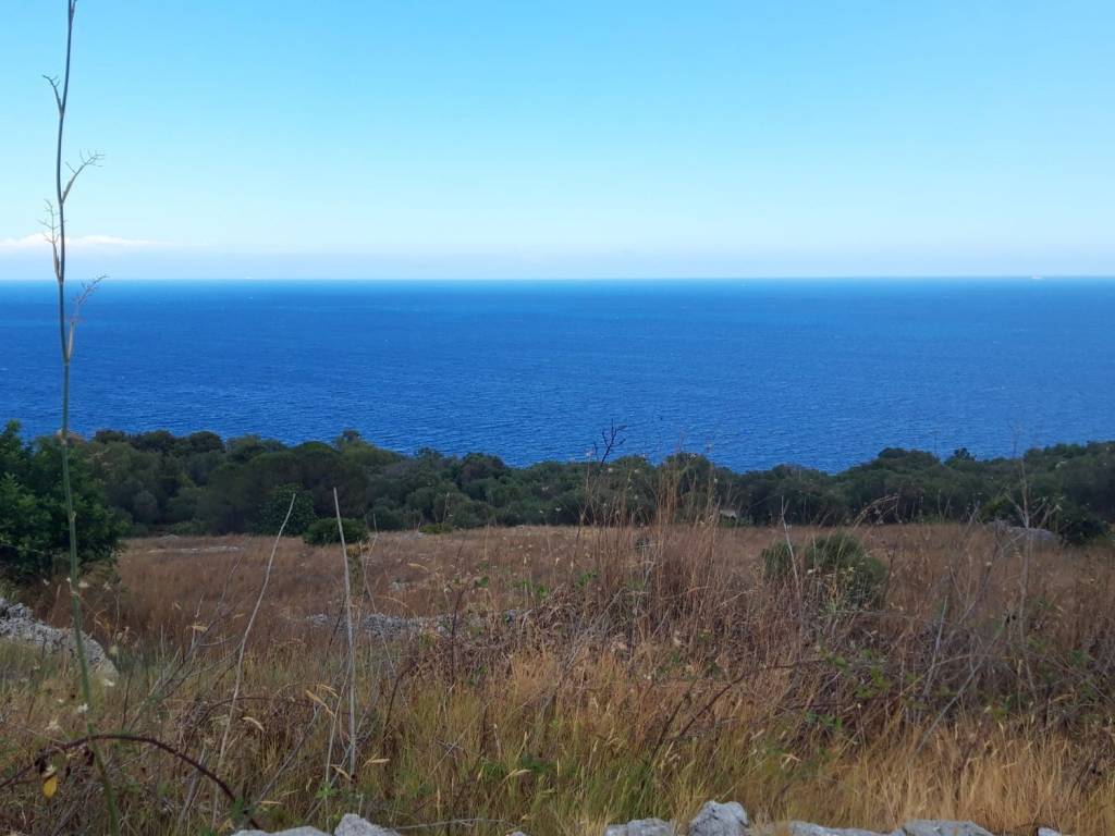 terreno agricolo in vendita a Diso in zona Marina di Marittima