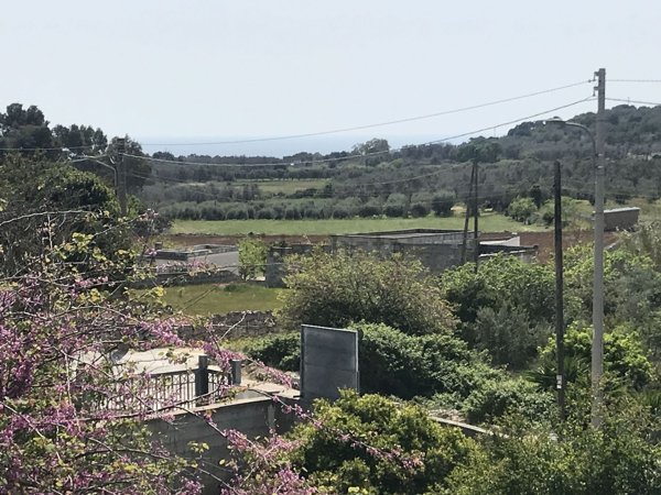 immagine annuncio 0 di 1