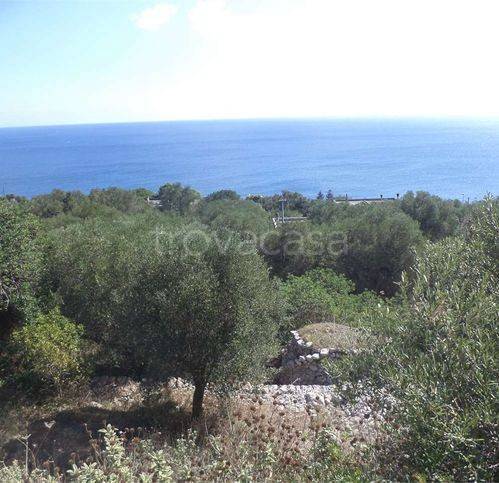 terreno agricolo in vendita a Diso