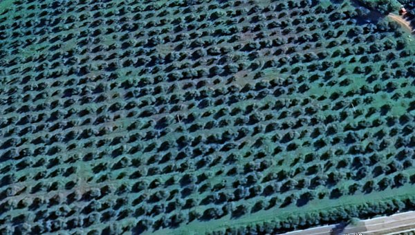 terreno agricolo in vendita a Diso in zona Marittima