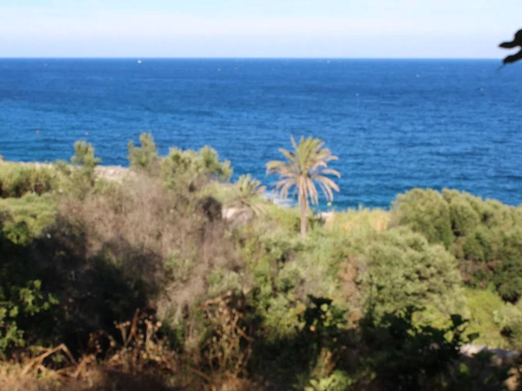 terreno agricolo in vendita a Diso in zona Marina di Marittima