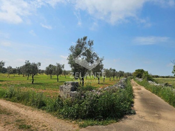 terreno agricolo in vendita a Diso