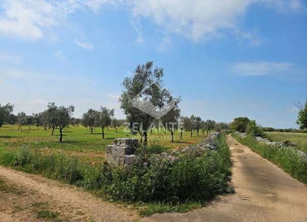 terreno agricolo in vendita a Diso