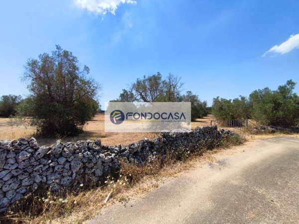 terreno agricolo in vendita a Diso