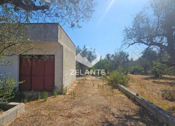 terreno agricolo in vendita a Diso