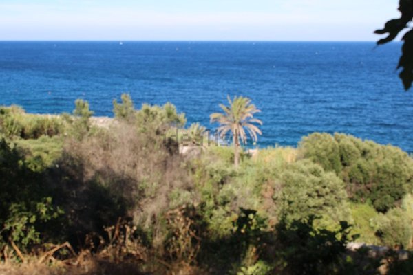terreno in vendita a Diso