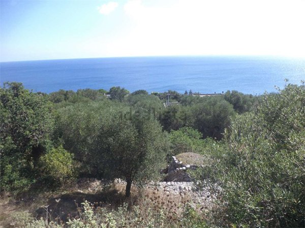 terreno in vendita a Diso