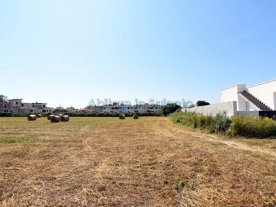 casa indipendente in vendita a Gagliano del Capo in zona Arigliano