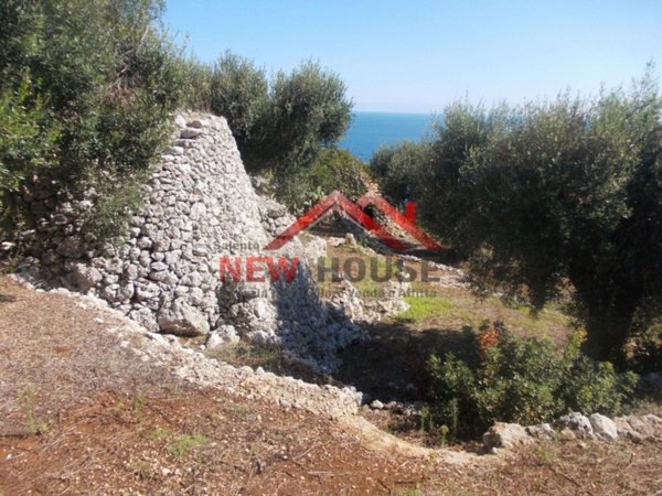 terreno agricolo in vendita a Gagliano del Capo