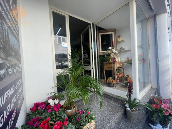 negozio in vendita a Gagliano del Capo