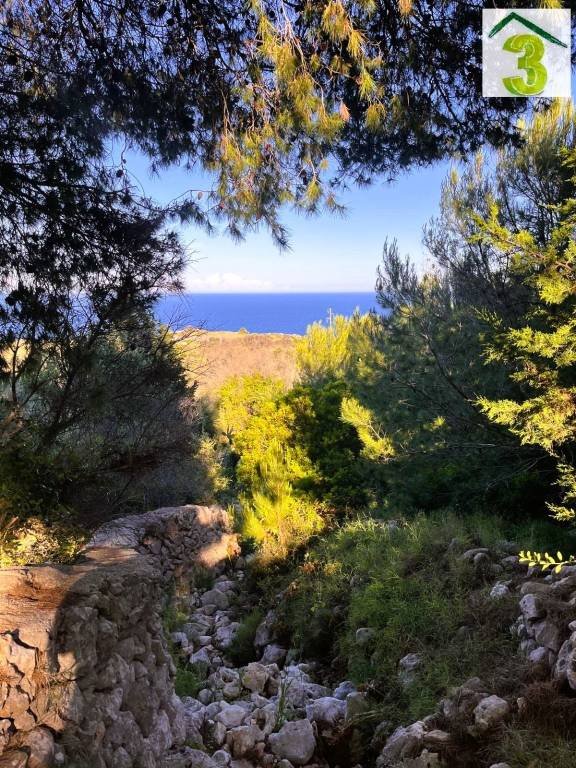 terreno agricolo in vendita a Gagliano del Capo