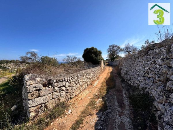 terreno agricolo in vendita a Gagliano del Capo