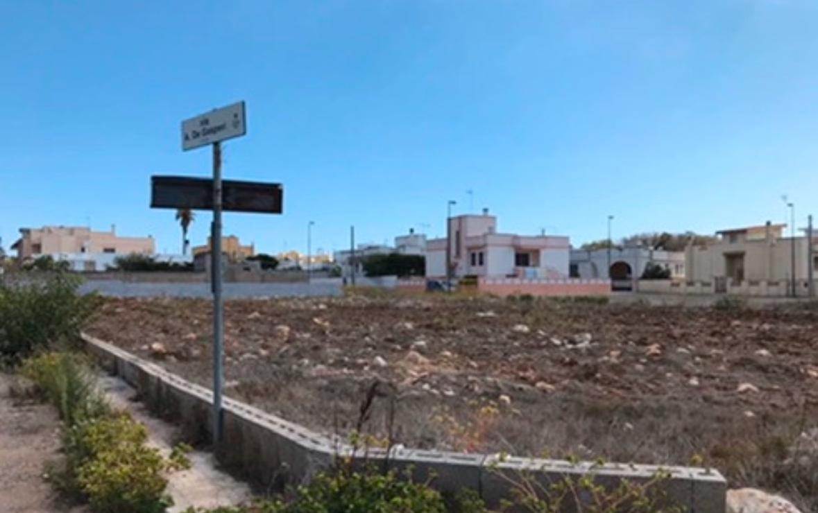 terreno agricolo in vendita a Gagliano del Capo in zona Arigliano