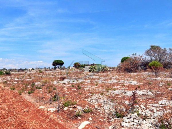 terreno agricolo in vendita a Gagliano del Capo
