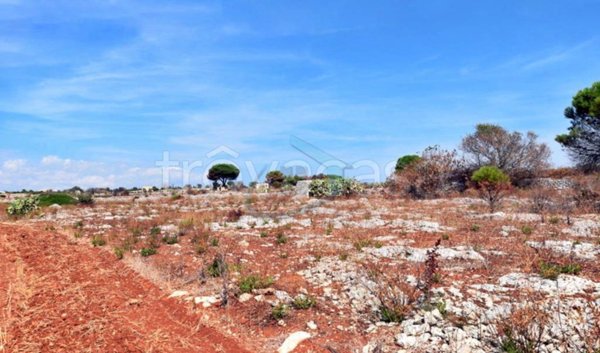 terreno agricolo in vendita a Gagliano del Capo