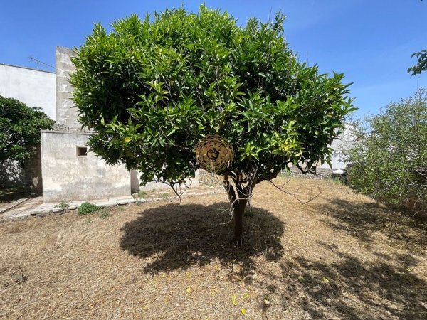 appartamento in vendita a Gagliano del Capo in zona San Dana