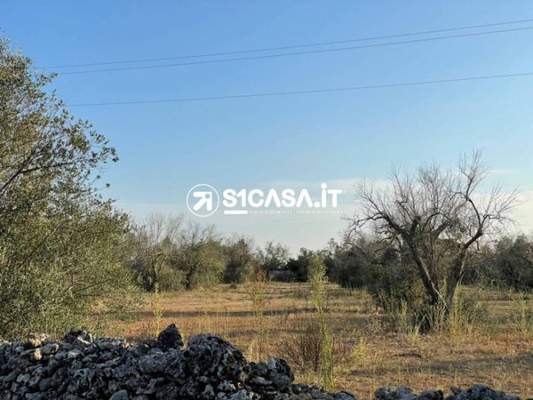 terreno agricolo in vendita a Galatina