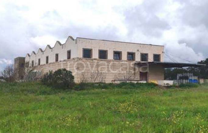 azienda agricola in vendita a Galatina