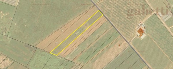 terreno agricolo in vendita a Galatina