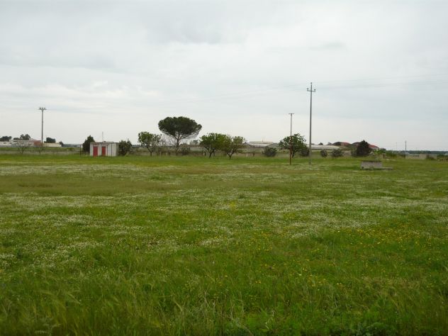 terreno agricolo in vendita a Galatina