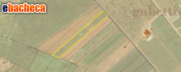 terreno agricolo in vendita a Galatina