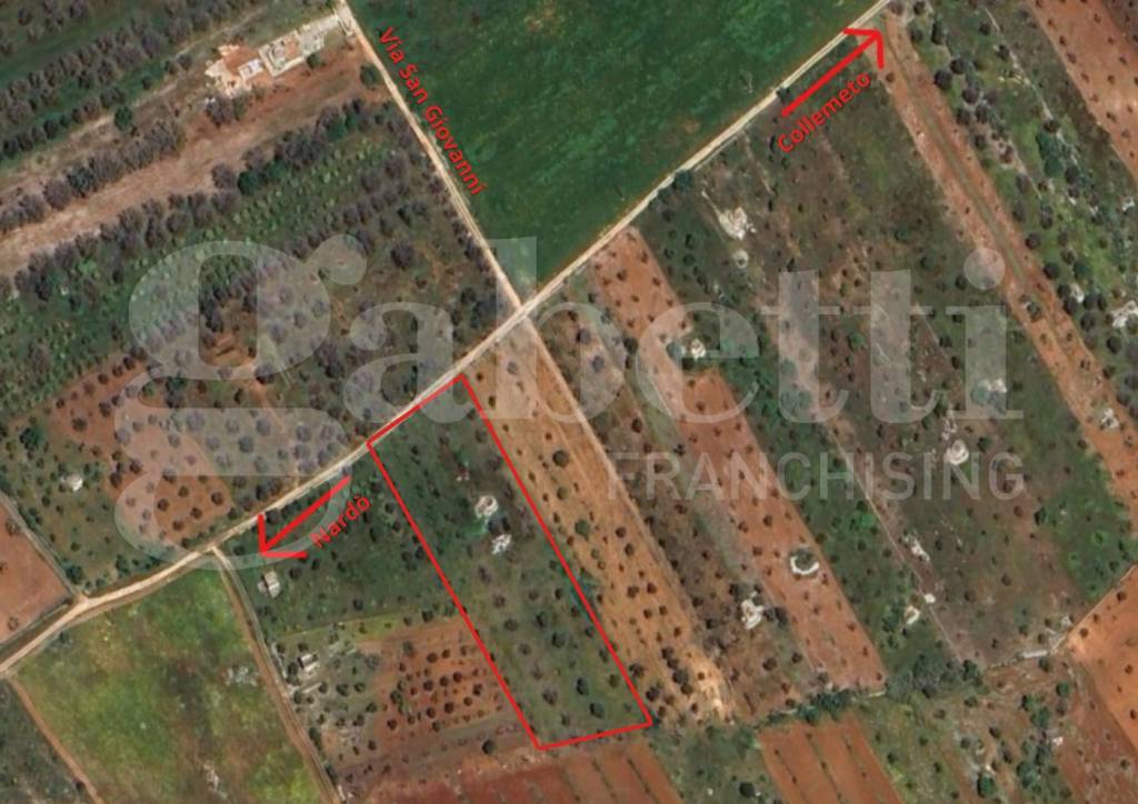 terreno agricolo in vendita a Galatina