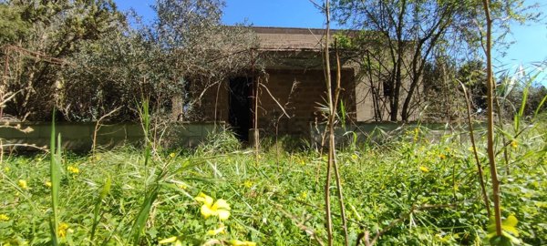 casa indipendente in vendita a Galatina
