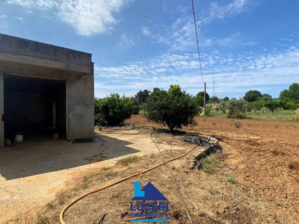 terreno agricolo in vendita a Galatina in zona Collemeto