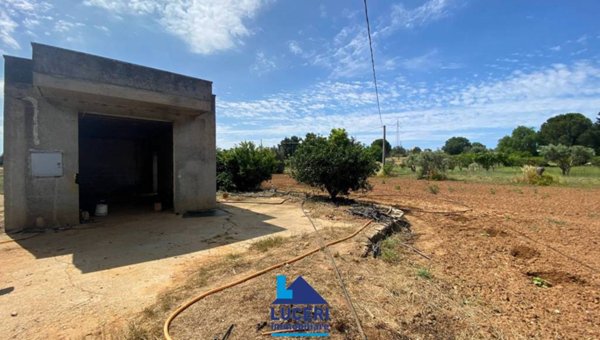 terreno agricolo in vendita a Galatina in zona Collemeto