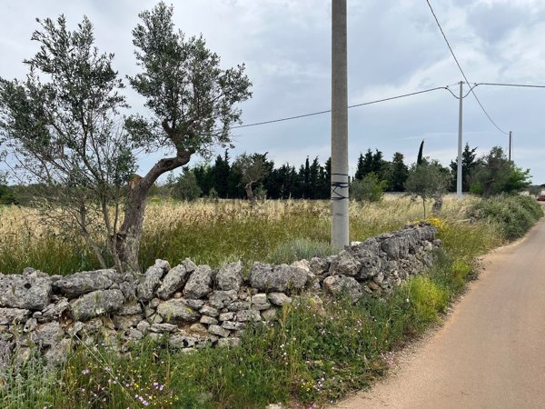 terreno agricolo in vendita a Galatina