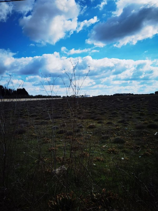 terreno agricolo in vendita a Galatina
