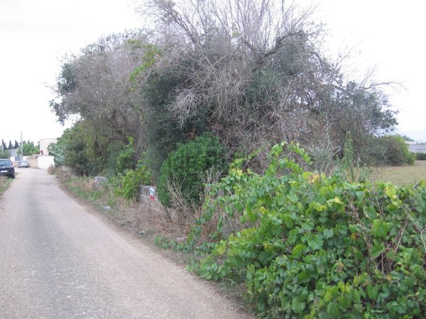 terreno edificabile in vendita a Galatina