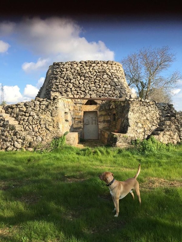 appartamento in vendita a Galatina