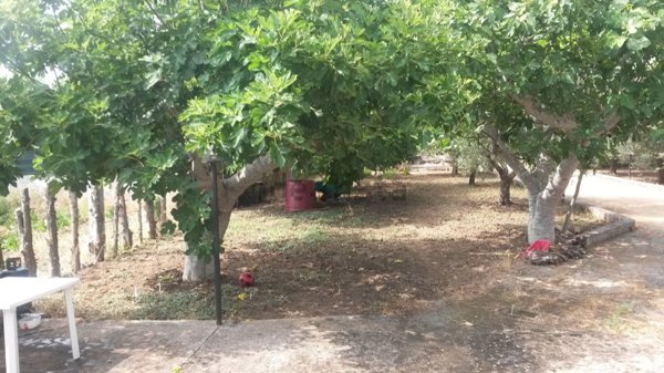 appartamento in vendita a Galatina