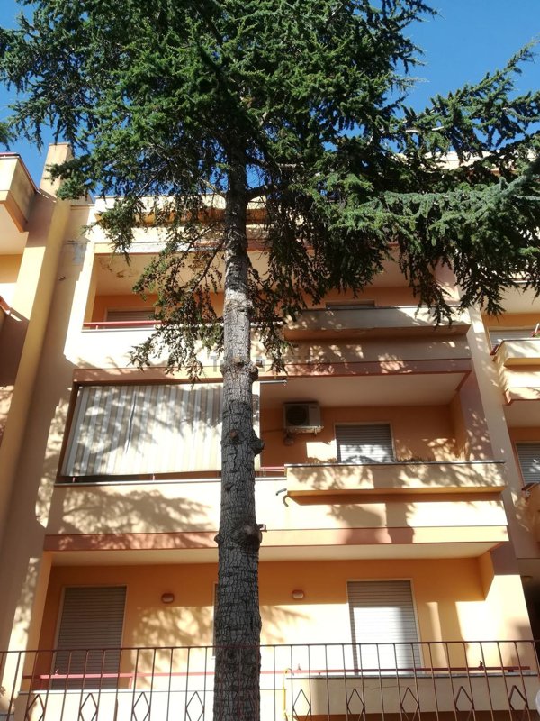 appartamento in vendita a Galatina